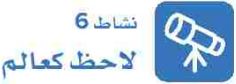نشاط 6 لاحظ كعالم